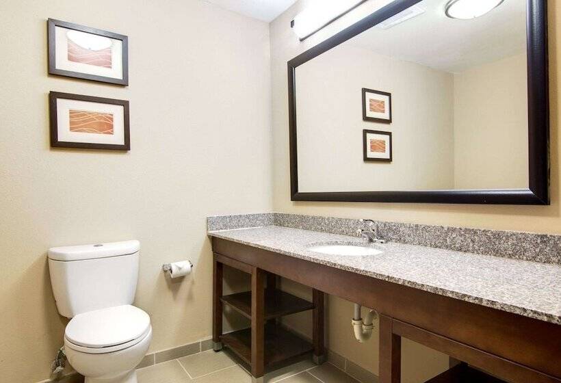 סוויטה, Comfort Inn & Suites Macon North I75