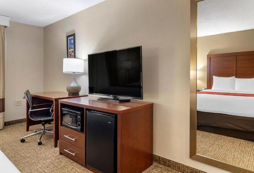 חדר סטנדרט עם מיטת קינג, Comfort Inn & Suites Macon North I75