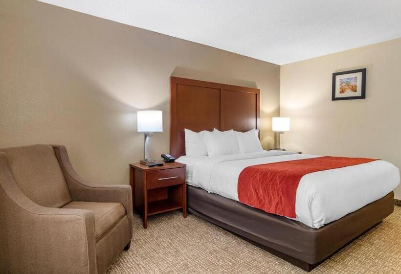 חדר סטנדרט עם מיטת קינג, Comfort Inn & Suites Macon North I75