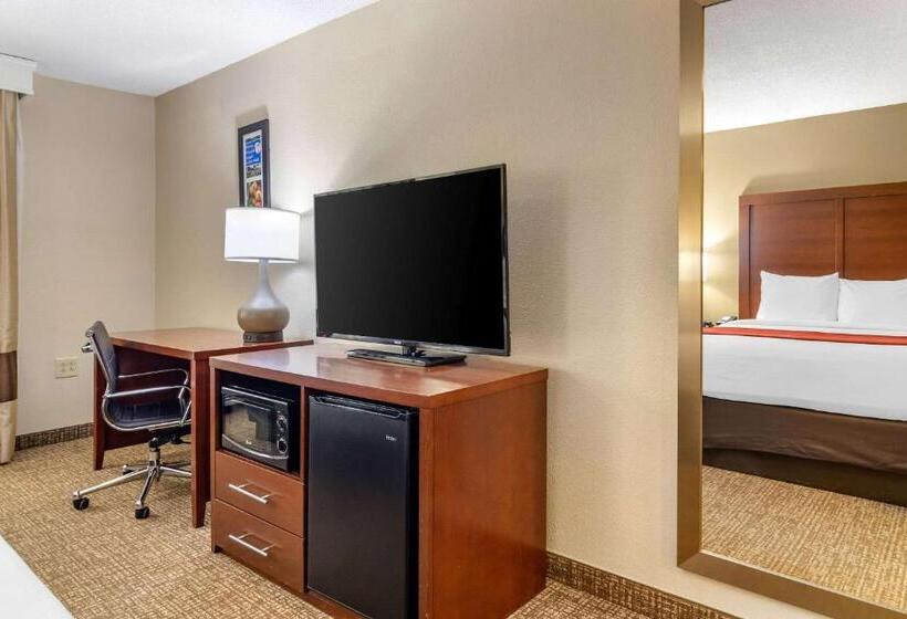 חדר סטנדרט, Comfort Inn & Suites Macon North I75