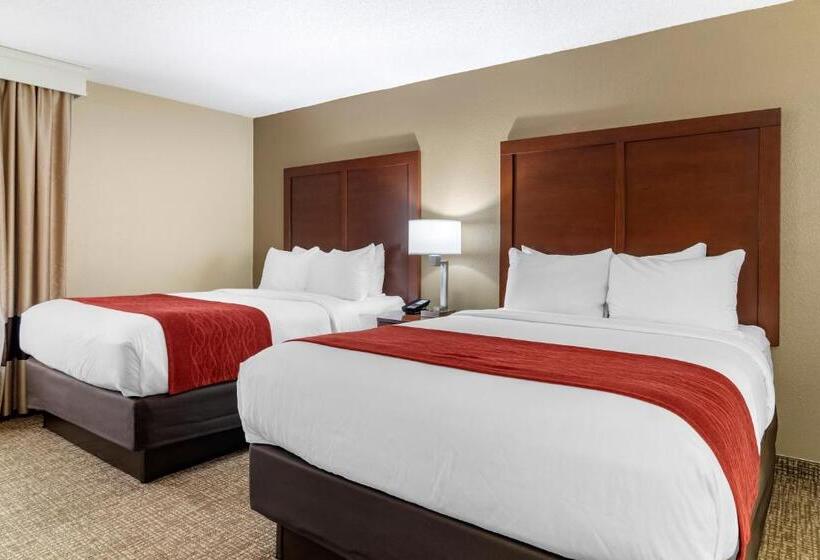 סוויטה, Comfort Inn & Suites Macon North I75