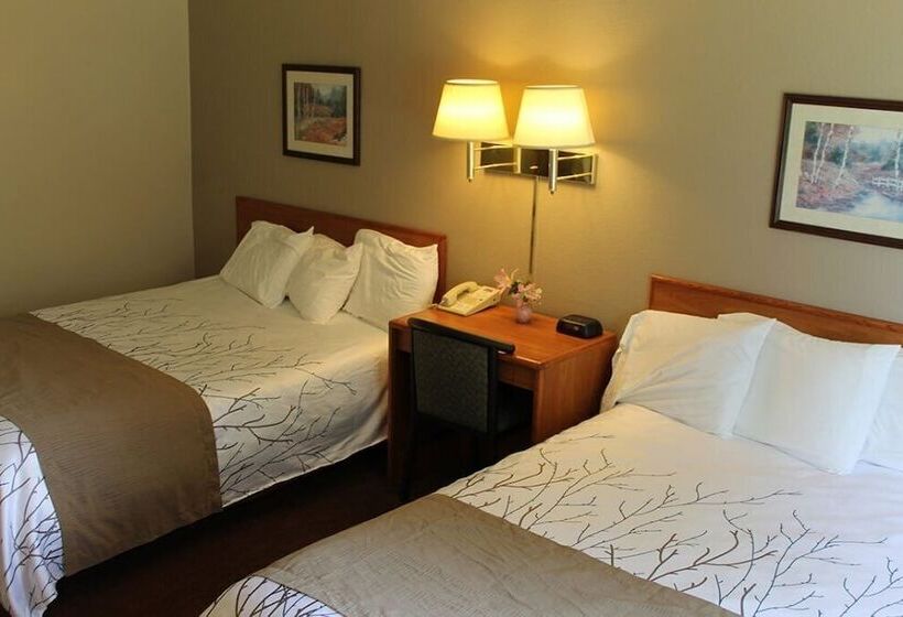 带2个双人床的标准工作室, Edmore Inn