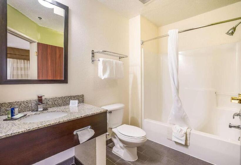 Номер Стандарт 2 Двуспальные Кровати, Sleep Inn & Suites Jacksonville Near Camp Lejeune