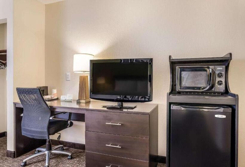 Номер Стандарт Кровать Кинг Адаптированный для Инвалидов, Sleep Inn & Suites Jacksonville Near Camp Lejeune