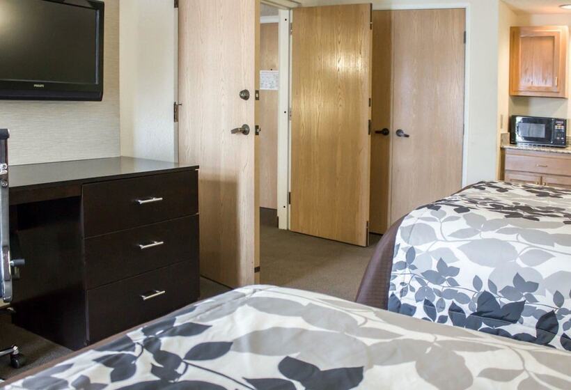 Quarto Estandar 2 Camas Casal, Sleep Inn & Suites Columbus Near State University   Fort Moore Area