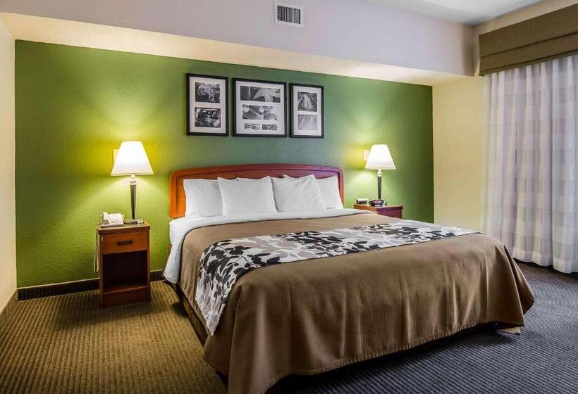 带大床的标准间, Sleep Inn & Suites Danville Hwy 58
