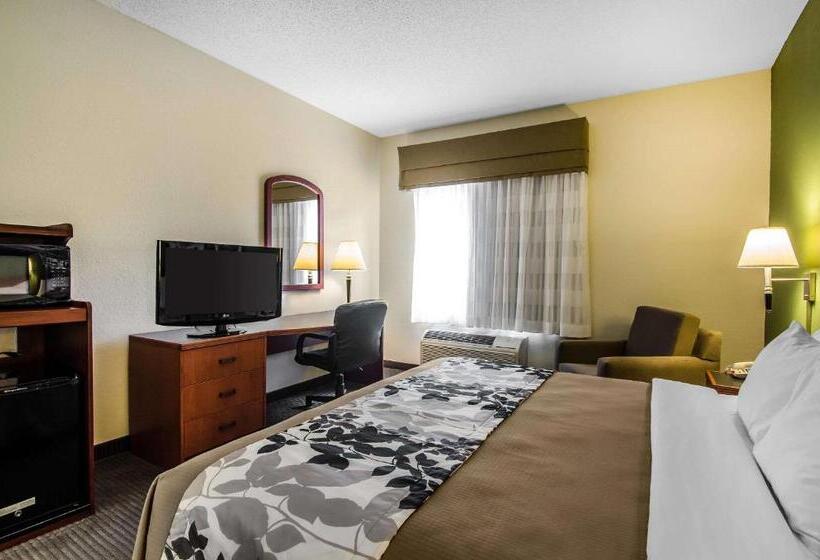 带大床的标准间, Sleep Inn & Suites Danville Hwy 58