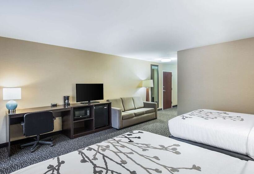 Номер Стандарт 2 Двуспальные Кровати, Sleep Inn & Suites