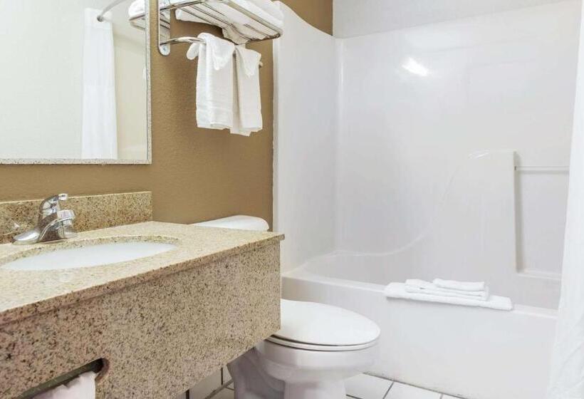 스탠다드 룸 킹사이즈 침대, Quality Inn Noblesvilleindianapolis