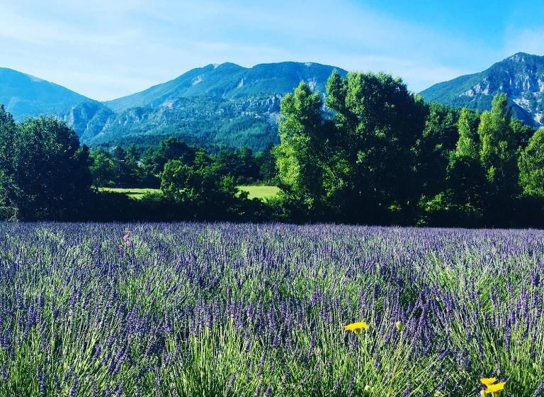 스탠다드 스튜디오 (전망), Le Moulin De La Viorne, Gîte Modulable Avec Piscine En Haute Provence