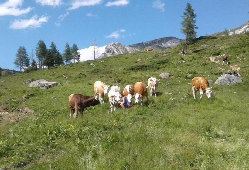 Апартаменты 1 Спальня с Видом, Denggnhof