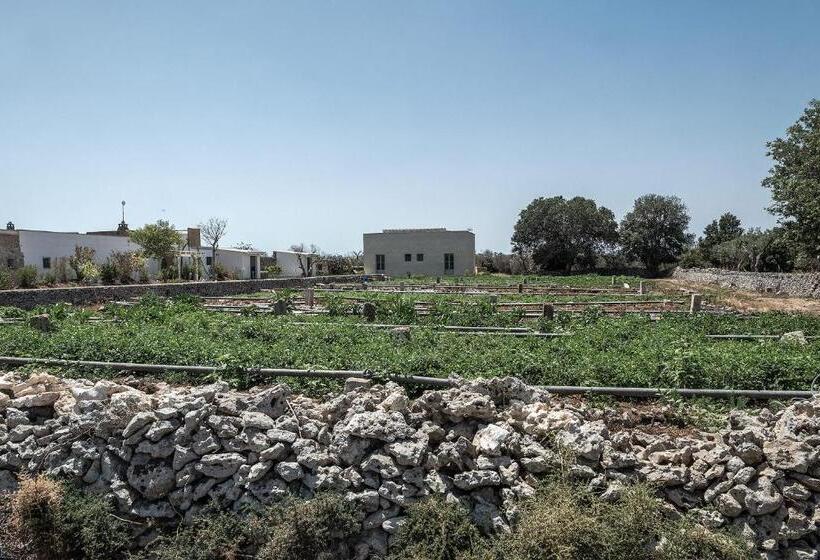 اتاق لوکس چهار تخته, Masseria Berzario