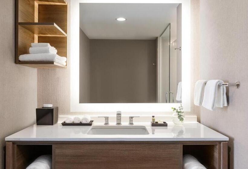 Люкс Адаптированный для Инвалидов, Staybridge Suites Rochester   Mayo Clinic Area, An Ihg
