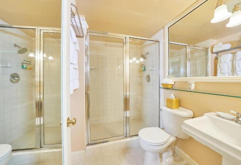 Номер Economy, Ashland Springs