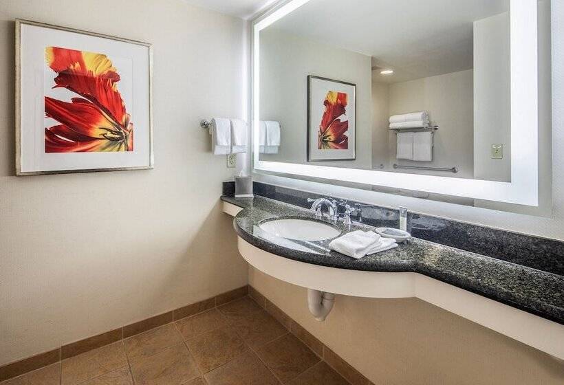 اتاق استاندارد با 2 تخت دوبل, Gaylord Palms Resort & Convention Center