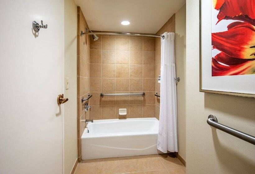 اتاق استاندارد با 2 تخت دوبل, Gaylord Palms Resort & Convention Center