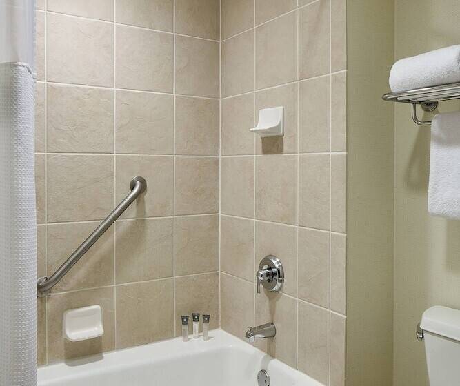 اتاق استاندارد با 2 تخت دوبل, Gaylord Palms Resort & Convention Center