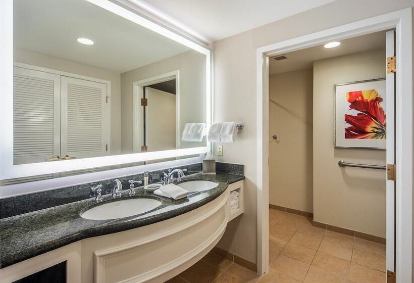 اتاق استاندارد با 2 تخت دوبل, Gaylord Palms Resort & Convention Center