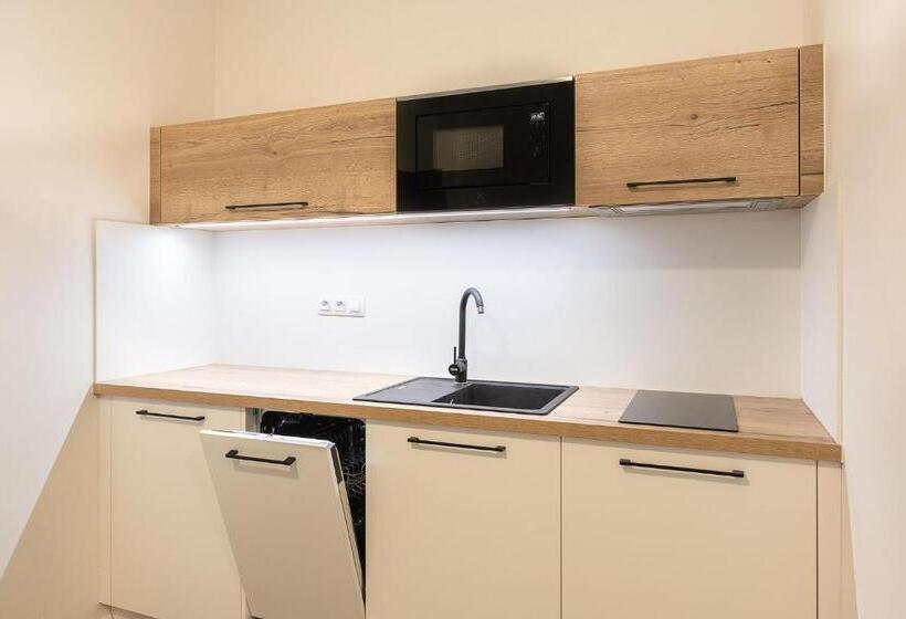 带1个卧室的豪华公寓, Apartsee Wellness Plzeň