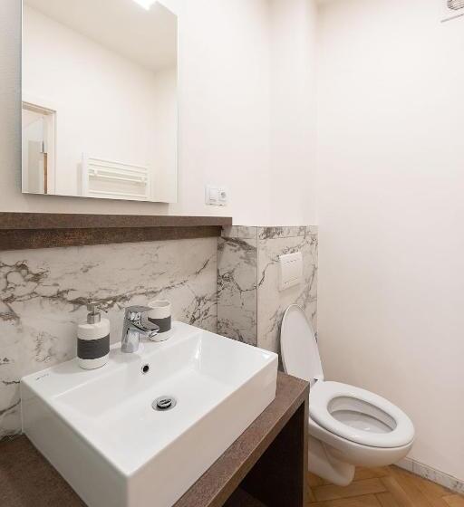 带1个卧室的高级公寓, Apartsee Wellness Plzeň