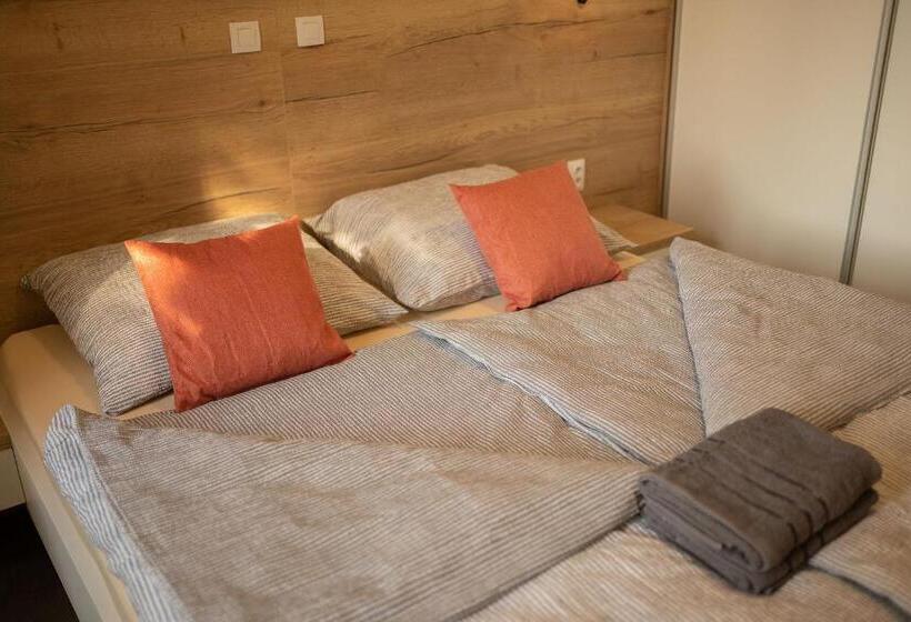 带1个卧室的公寓, Apartsee Wellness Plzeň