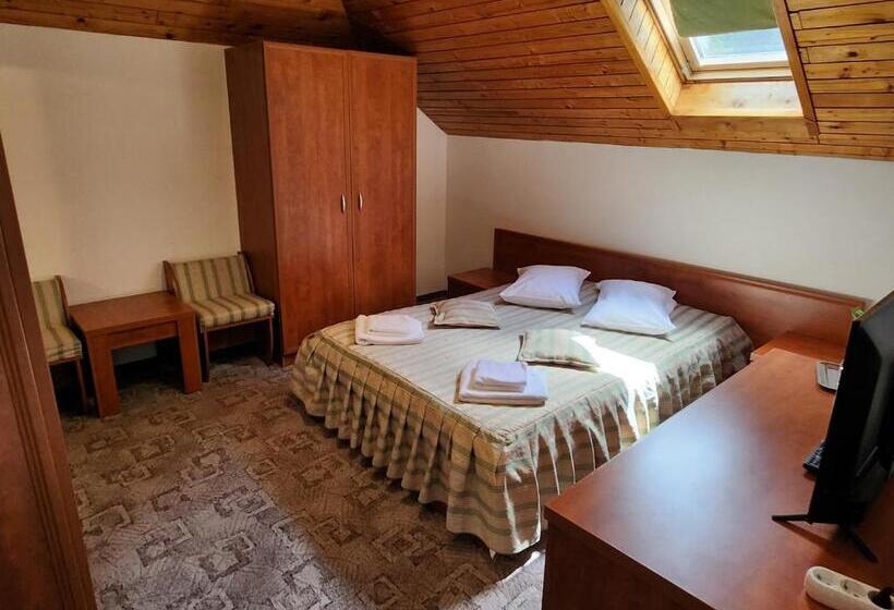 اتاق اکونومی, Casa Minerva