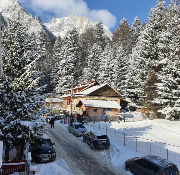 آپارتمان 1 خوابه با تراس, Casa Minerva