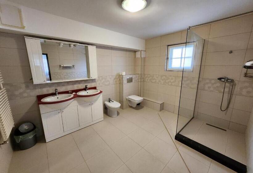 آپارتمان 1 خوابه با تراس, Casa Minerva