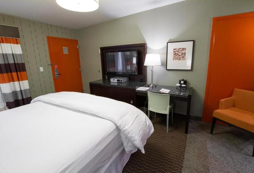 اتاق لوکس با تخت بزرگ, Scottsdale Parkview