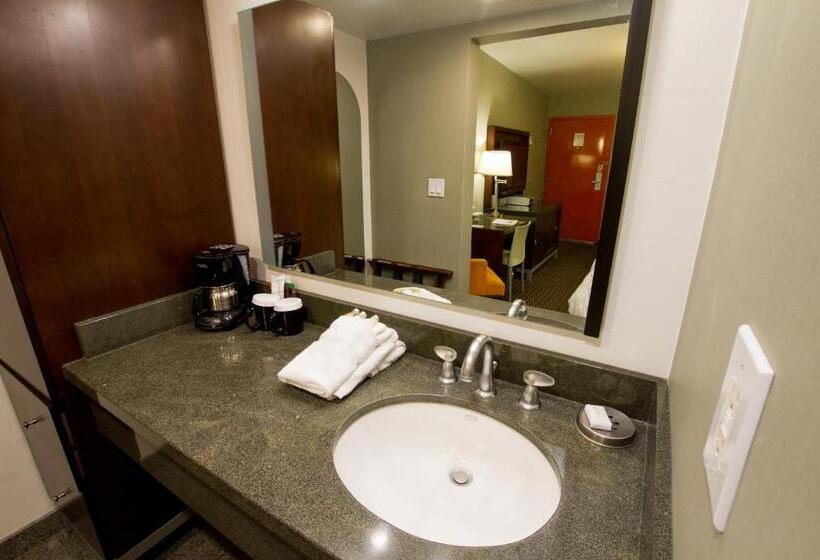 اتاق لوکس با وان آب گرم, Scottsdale Parkview