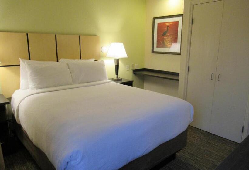 استودیوی استاندارد, Candlewood Suites Lake Mary, An Ihg