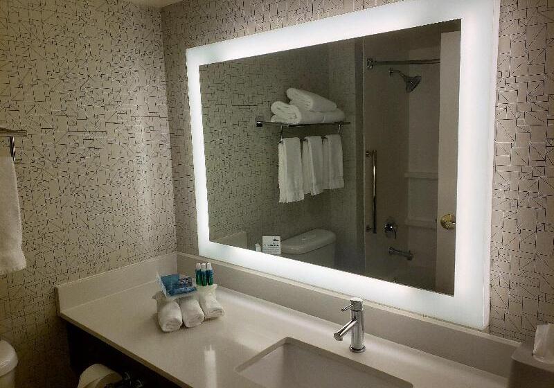 Стандартный Номер Кровать Кинг, Holiday Inn Express Portland West/hillsboro, An Ihg