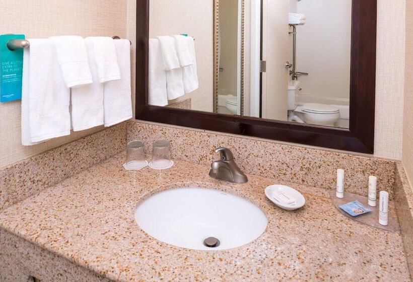 Люкс, Springhill Suites Boise West/eagle