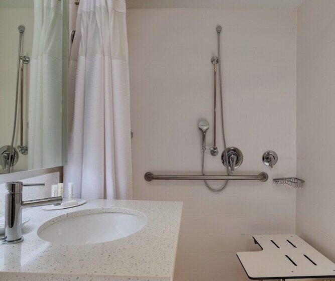 Люкс, Springhill Suites Boise West/eagle