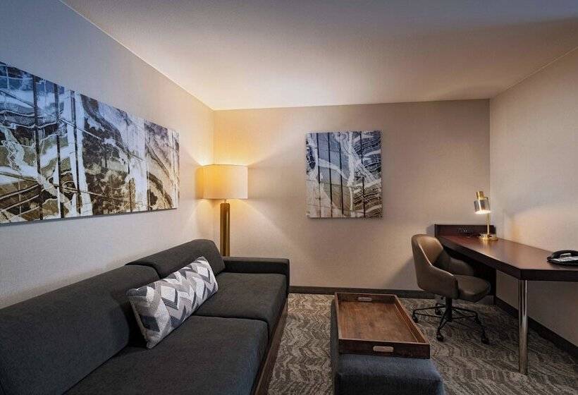 Люкс, Springhill Suites Boise West/eagle
