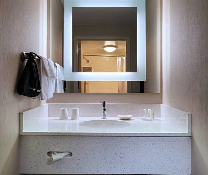 Люкс Адаптированный для Инвалидов, Springhill Suites Boise West/eagle