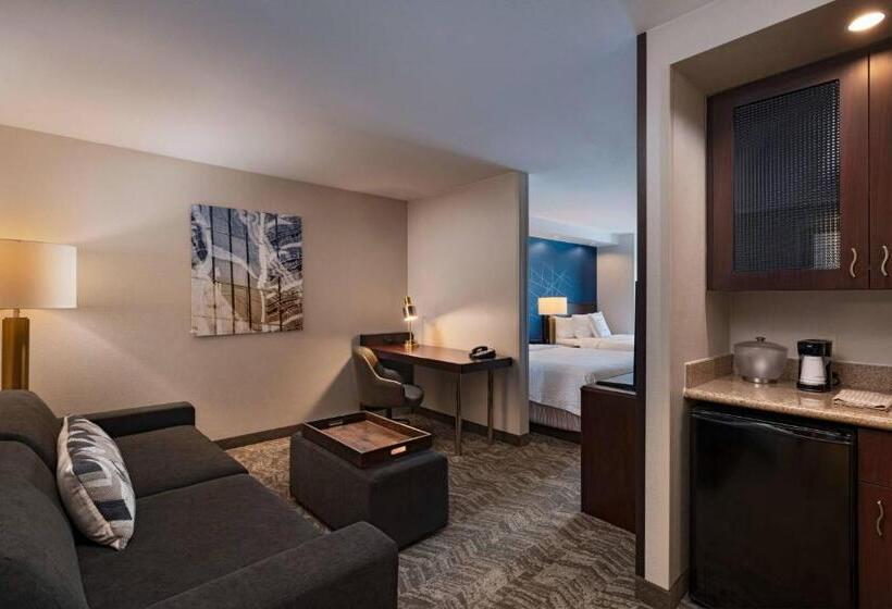 Люкс, Springhill Suites Boise West/eagle