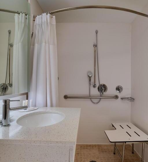 Люкс Кровать Кинг, Springhill Suites Boise West/eagle