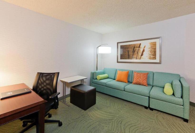 Студио Стандарт Кровать Кинг, Springhill Suites Denver North/westminster