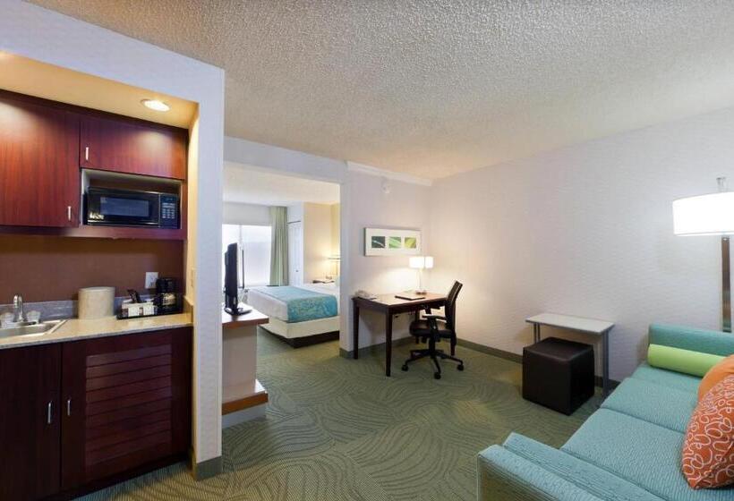 Студия Deluxe, Springhill Suites Denver North/westminster
