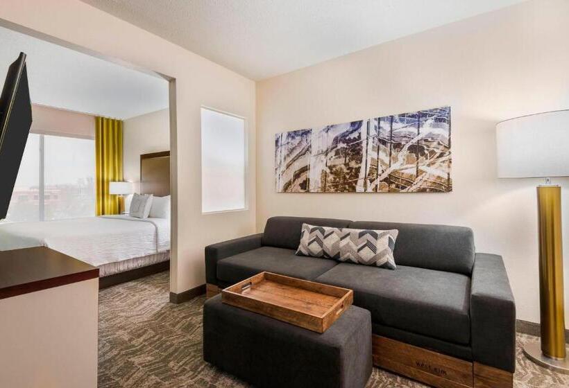 Люкс Кровать Кинг, Springhill Suites Indianapolis Carmel