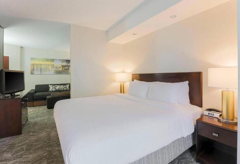 Люкс, Springhill Suites By Marriott Yuma