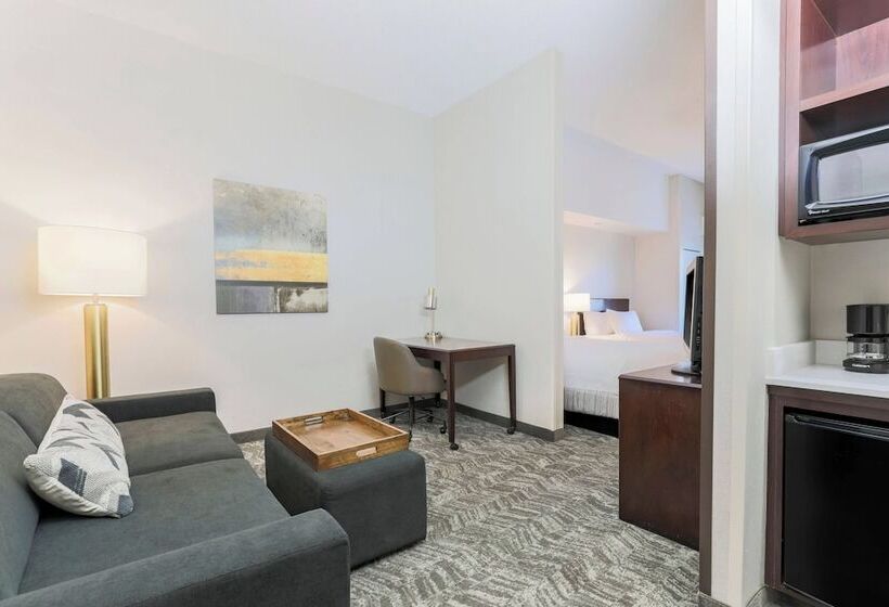 Люкс, Springhill Suites By Marriott Yuma