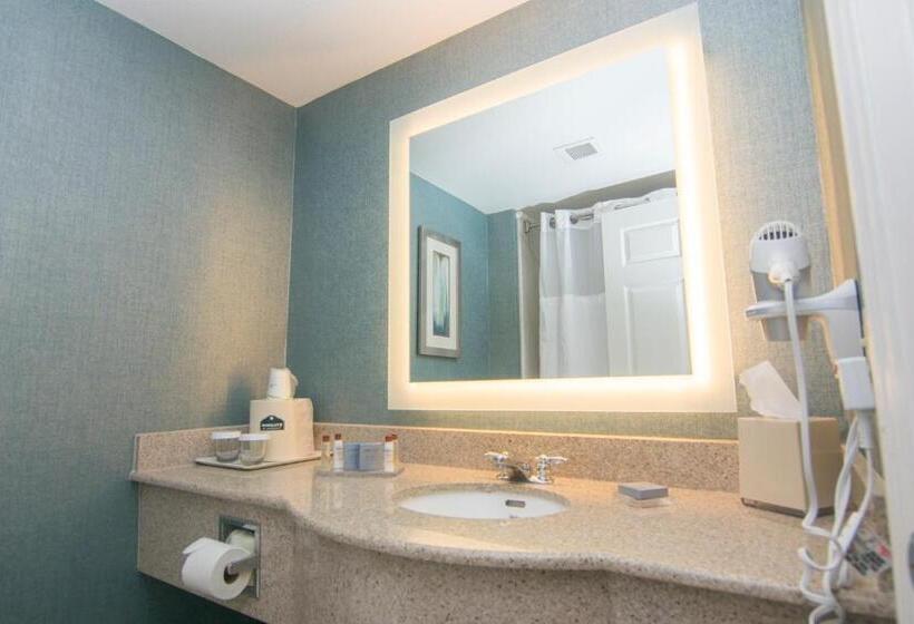 Номер Стандарт Кровать Кинг Адаптированный для Инвалидов, Wingate By Wyndham   Orlando International Airport  Free Hot Breakfast