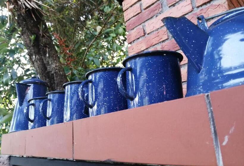 Студия Стандарт, Suite Y Loft Casa Toría