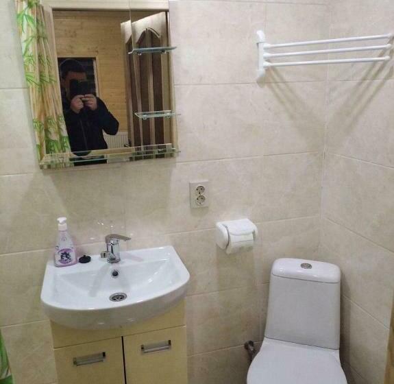 Номер Стандарт, Lisnyi