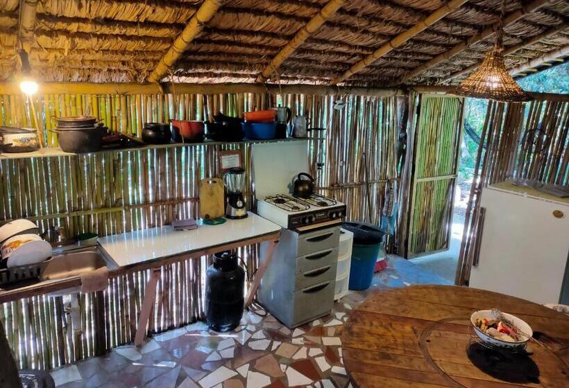 Standard Tent, Rumi Wilco Ecolodge & Nature Reserve Cabañas & Camping