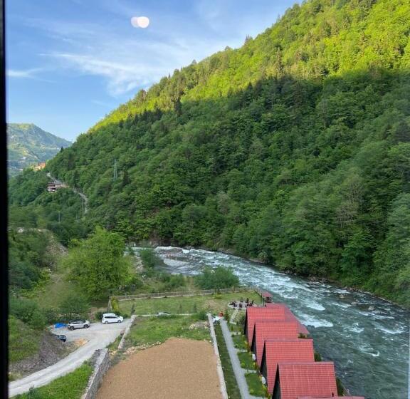 اتاق لوکس با بالکن, Pordani̇s