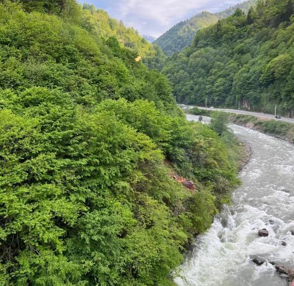اتاق لوکس با بالکن, Pordani̇s
