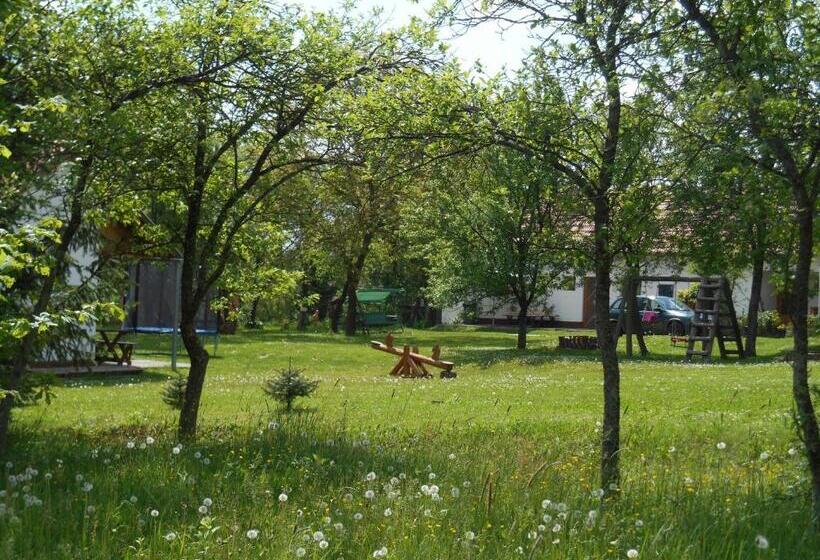 Апартаменты 1 Спальня, Vendégmarasztaló Porta